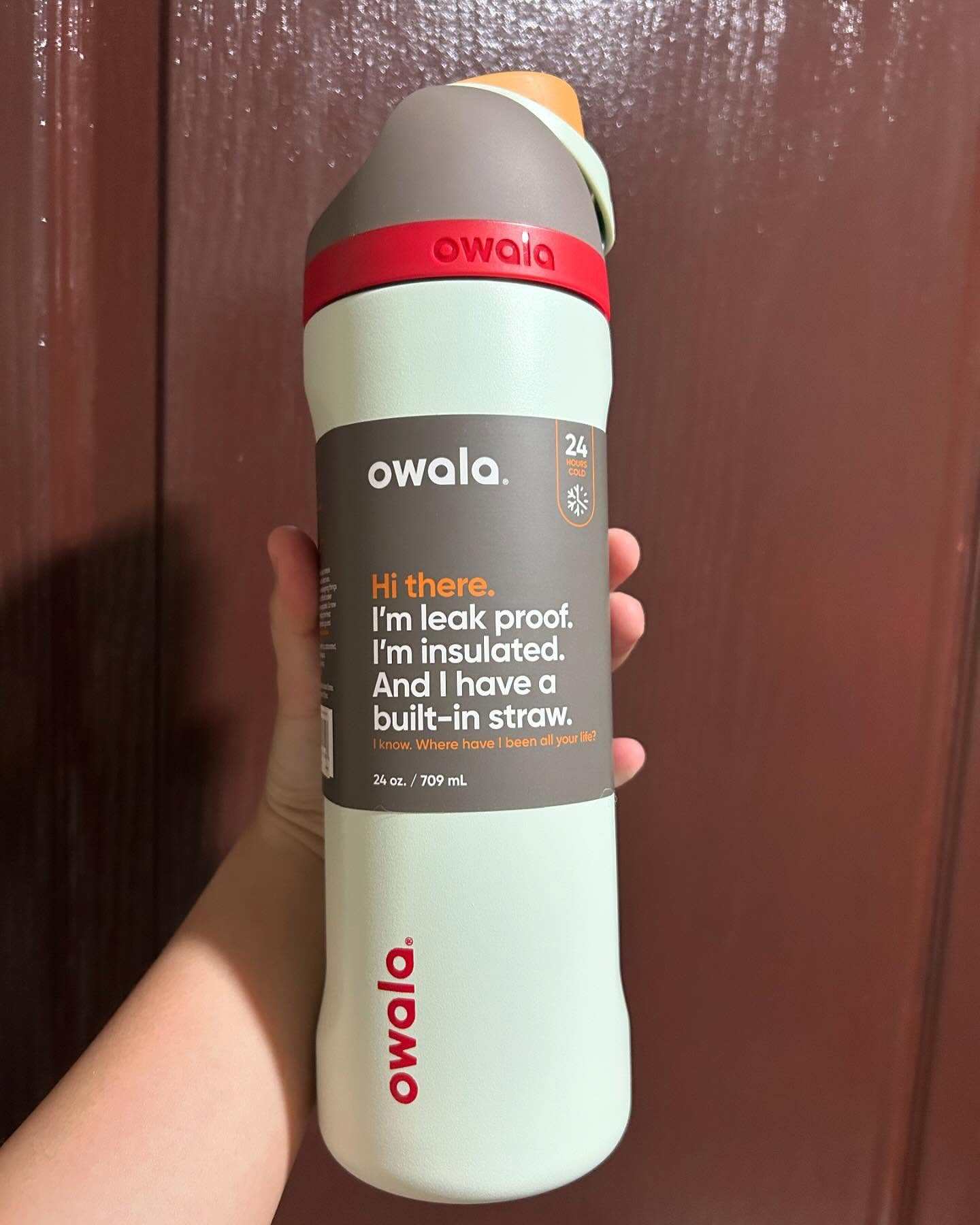 Owala FreeSip Insulated Stainless Steel Water Bottle