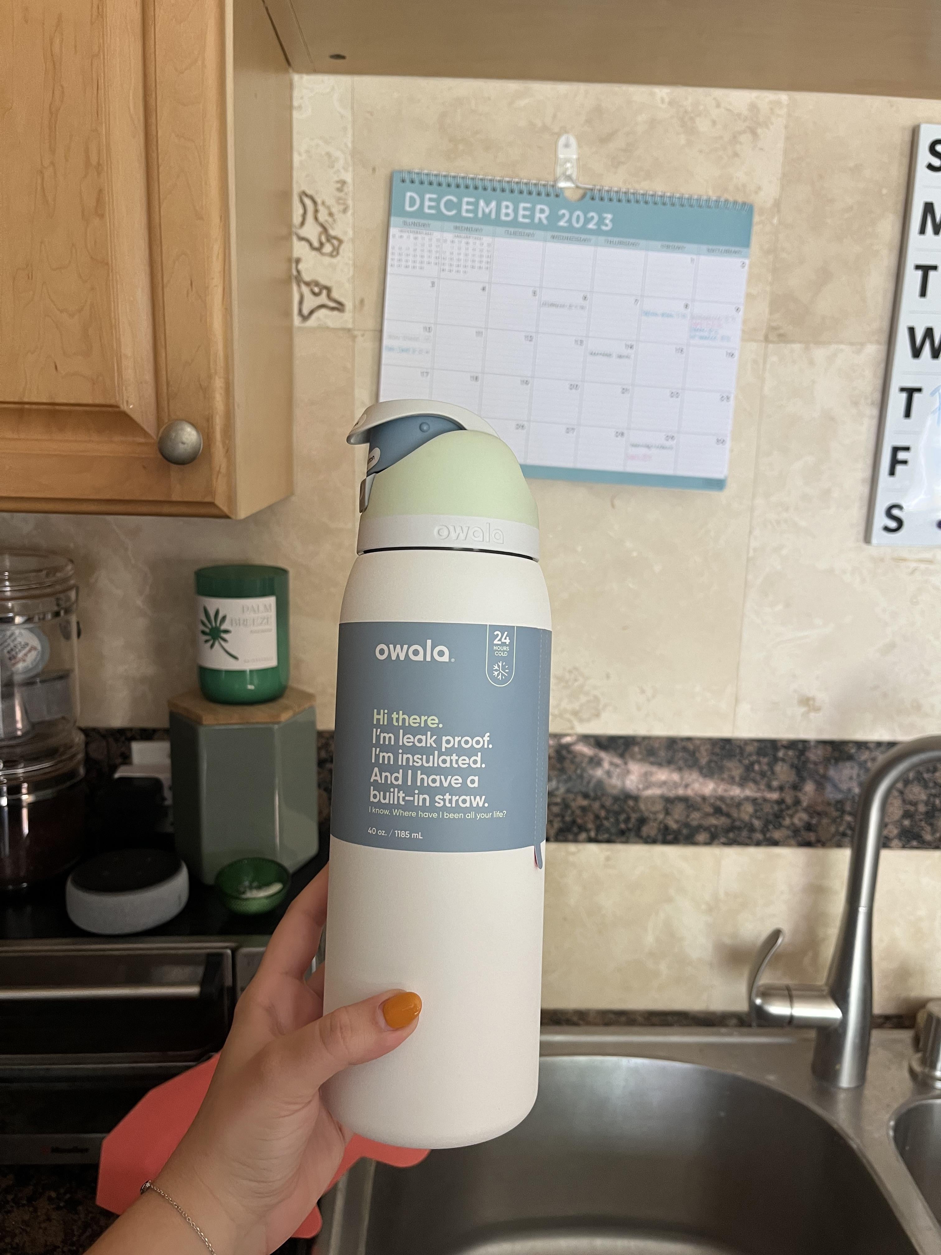 Owala FreeSip Insulated Stainless Steel Water Bottle