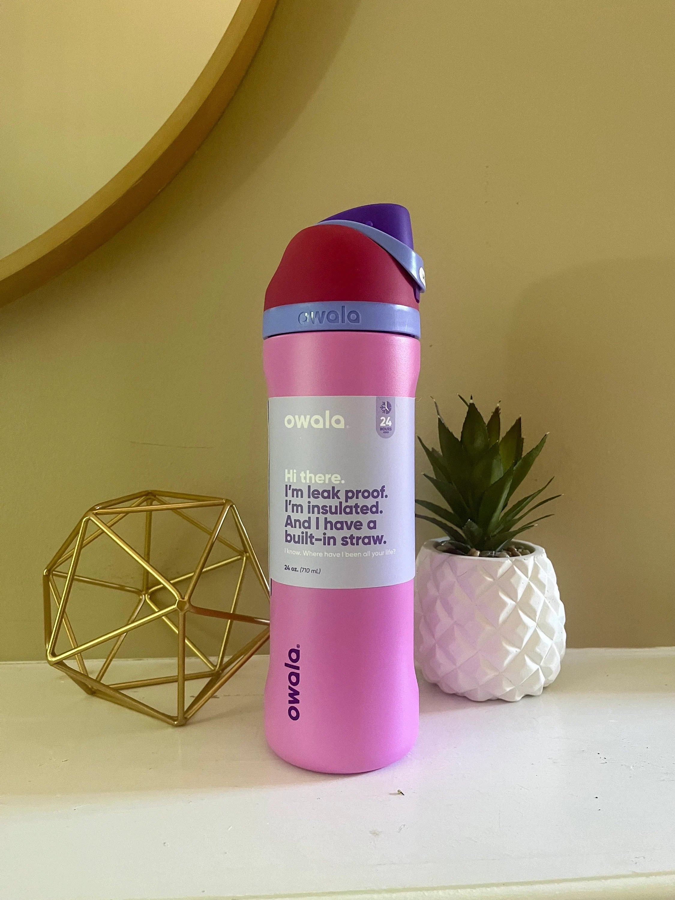 Owala FreeSip Insulated Stainless Steel Water Bottle