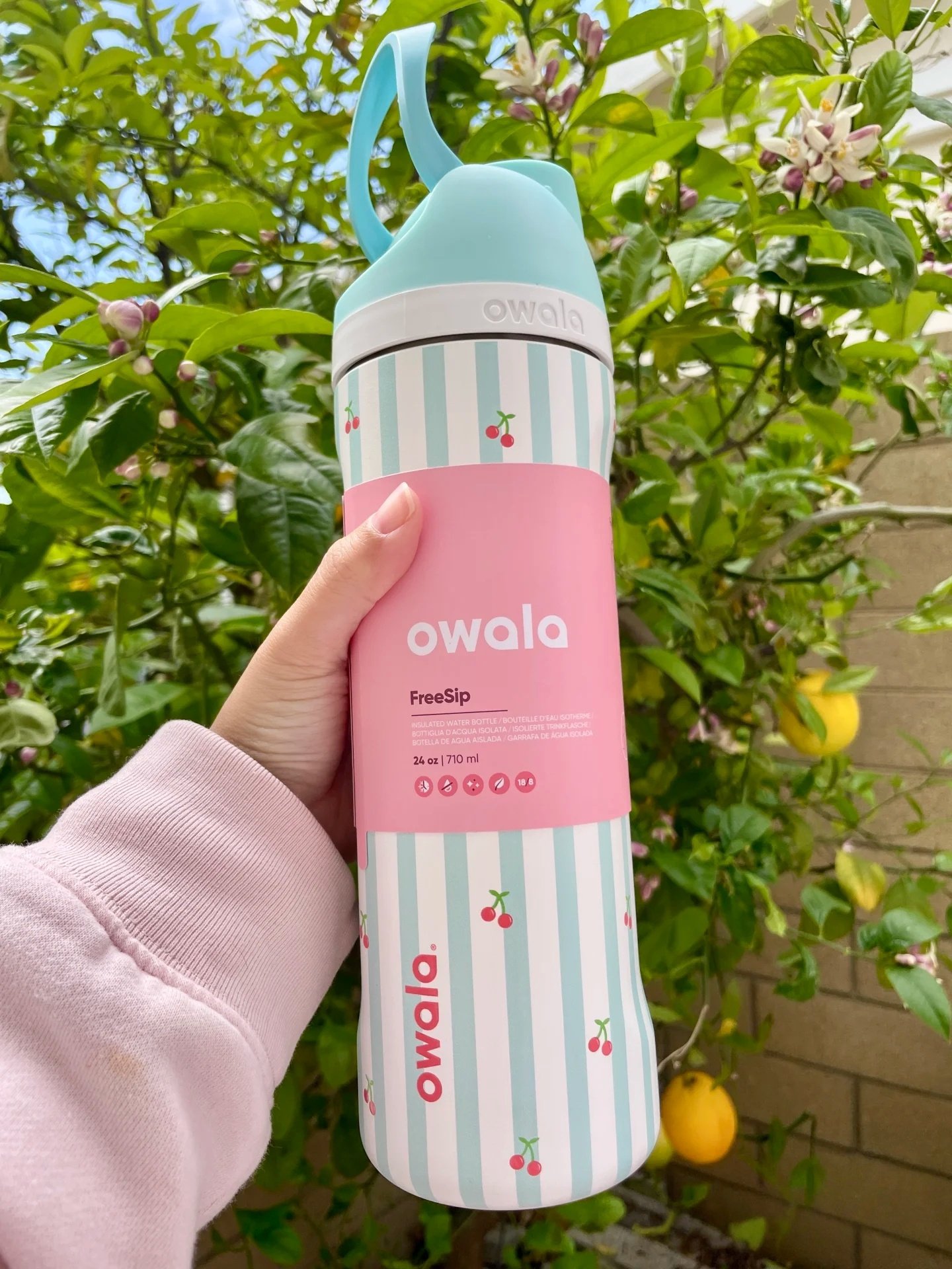 Owala FreeSip Insulated Stainless Steel Water Bottle